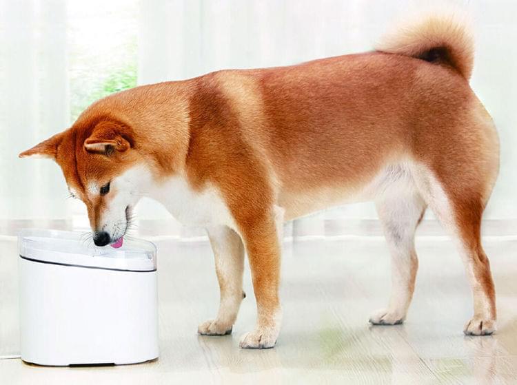 Xiaomi Smart Pet Fountain - Fontana za kućne ljubimce
